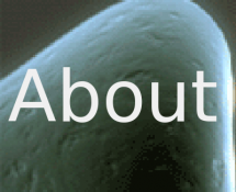 About