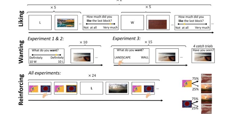 Research – Affective Brain Lab